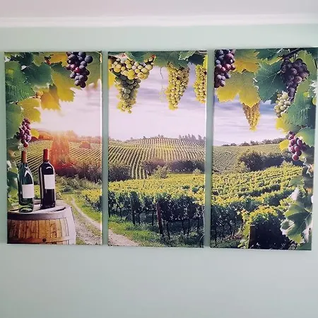 Retiro Dos Cedros - Vinhas *