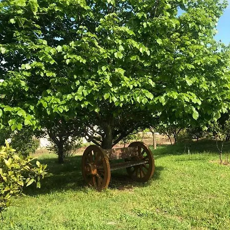 Couette-café Retiro Dos Cedros - Vinhas 3*