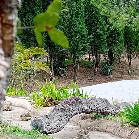 Couette-café Retiro Dos Cedros - Vinhas