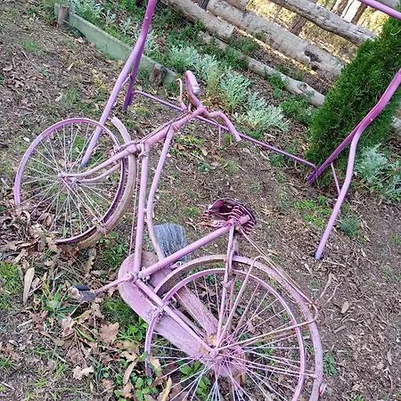 Retiro Dos Cedros - Vinhas Fogueira