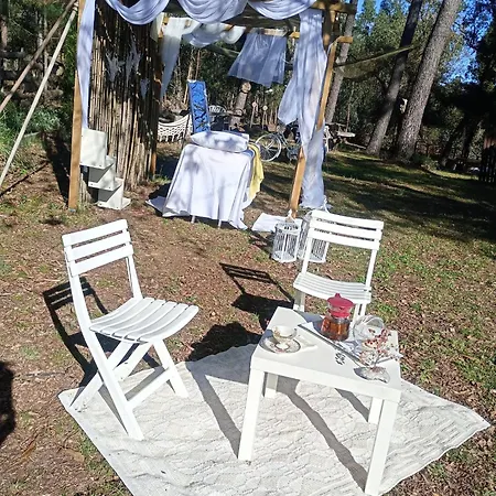 Bed & Breakfast Retiro Dos Cedros - Vinhas Fogueira