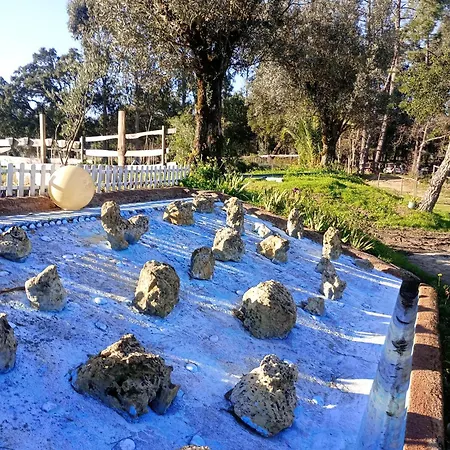 Retiro Dos Cedros - Vinhas