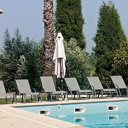 Retiro Dos Cedros - Vinhas Couette-café 3*