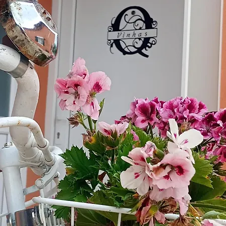 Couette-café Retiro Dos Cedros - Vinhas