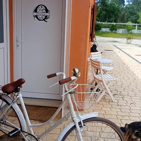 Retiro Dos Cedros - Vinhas