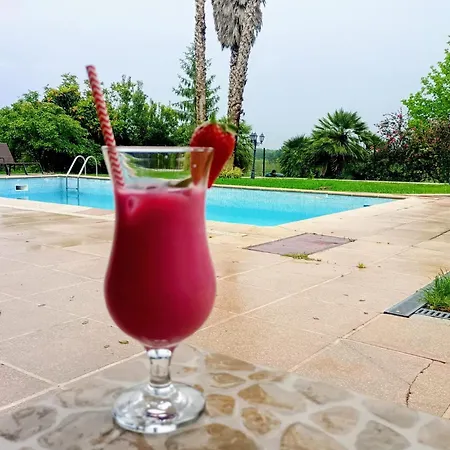 Retiro Dos Cedros - Vinhas Fogueira