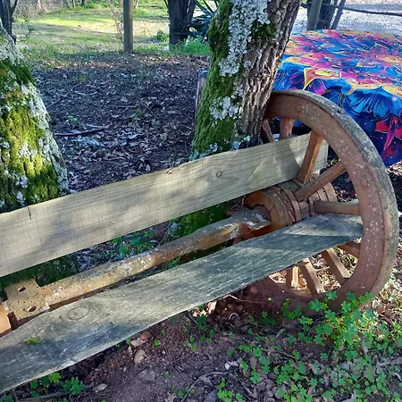 Couette-café Retiro Dos Cedros - Vinhas