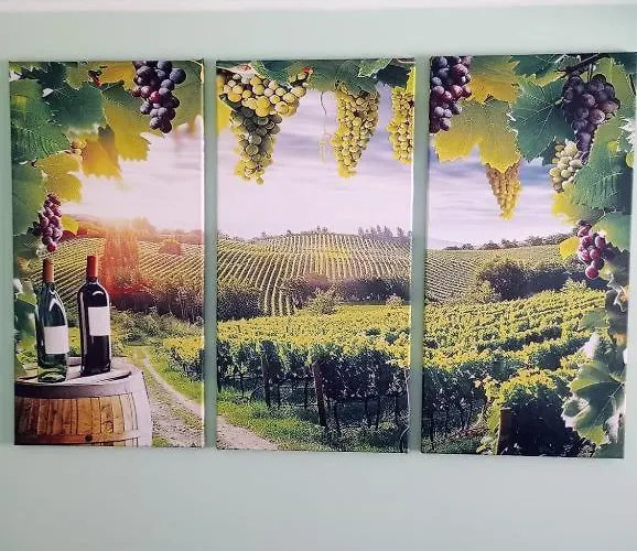 Retiro Dos Cedros - Vinhas 3*