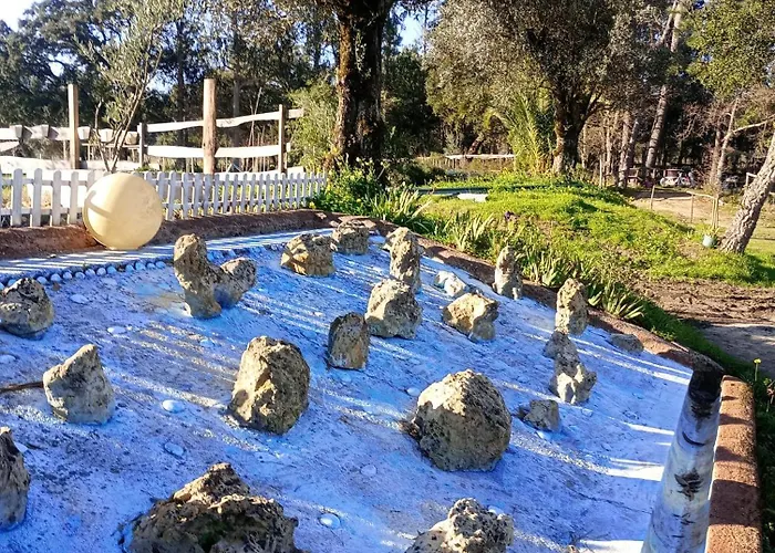 Retiro Dos Cedros - Vinhas